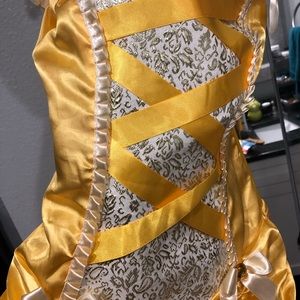 Belle Princess Dress/Costume Beauty and the Beast